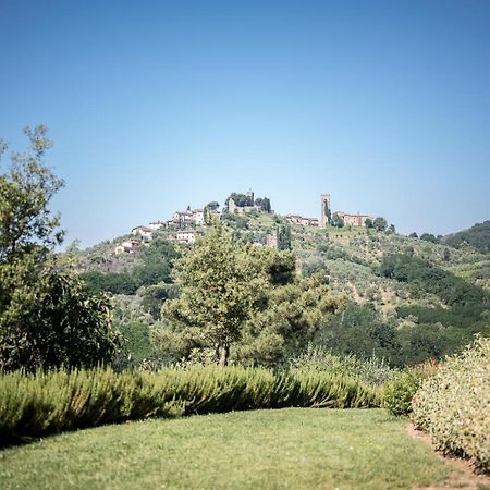 Terre Di Cocomo Borgo a Buggiano Exterior foto