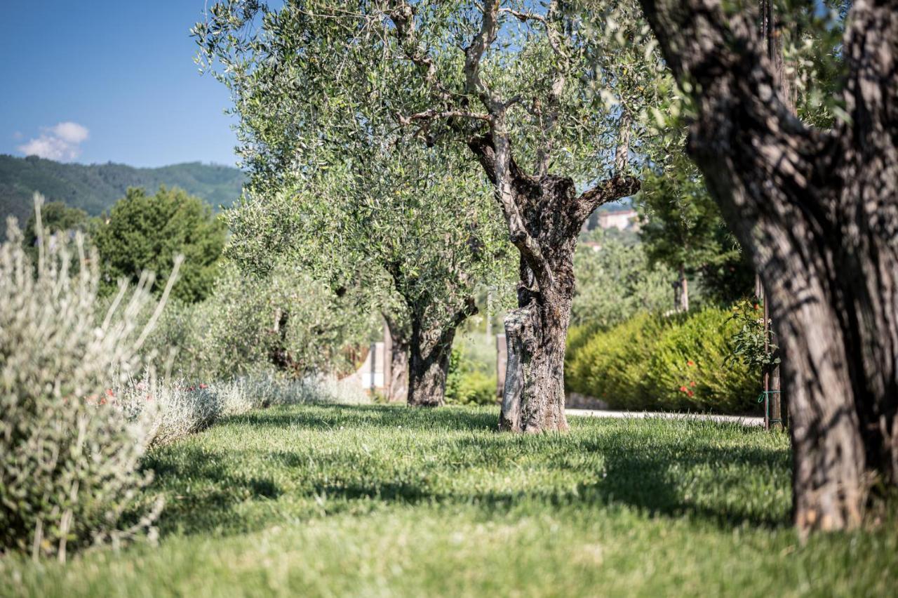 Terre Di Cocomo Borgo a Buggiano Exterior foto